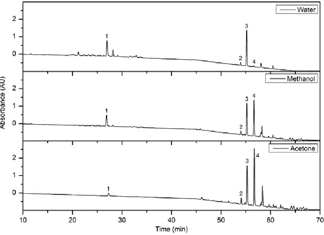 Figure 08:  Analyse  HPLC  des  extraits  des  feuilles  du  romarin  par  différents  solvants  (eau,  methanol  et  acétone)