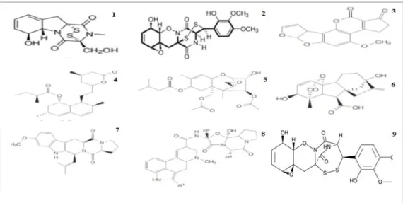 Figure 04. Structure chimique de gliotoxin (1) et gliovirine (2) (Vinale et al., 2014) - (3.4) Po-