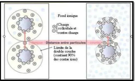 Figure  3  :  Représentation  schématique  de  la  compression  de  la  couche  diffuse  (Ezziane, 2007)