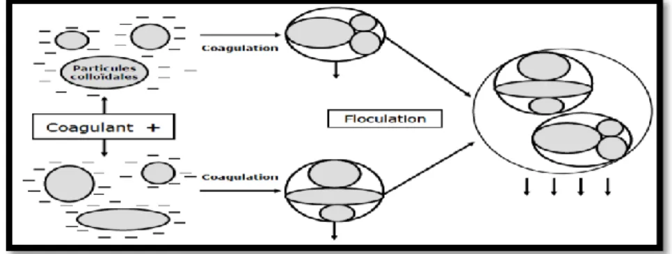 Figure 7 :  Mécanisme de Coagulation – Floculation (Héctor,  2006). 