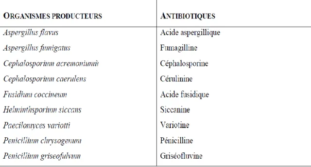 Tableau  3:  Mycètes  productrices  d’antibiotiques  (Larpant  larpant–Gourguand,  1996).
