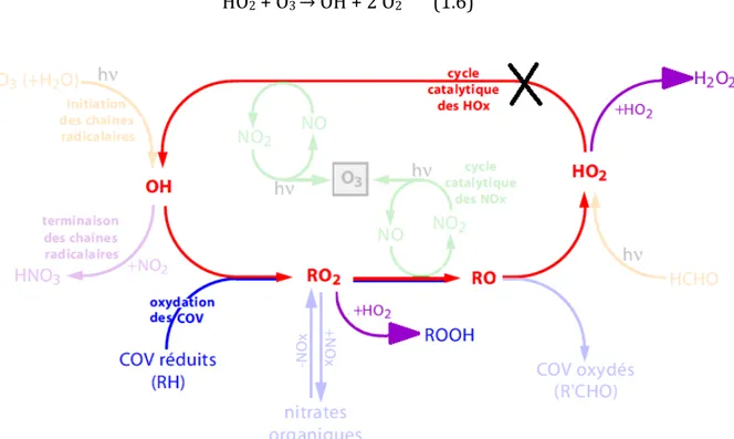 Figure	6	:	Evolution	du	cycle	de	vie	de	l’ozone	troposphérique	pour	un	régime	chimique	