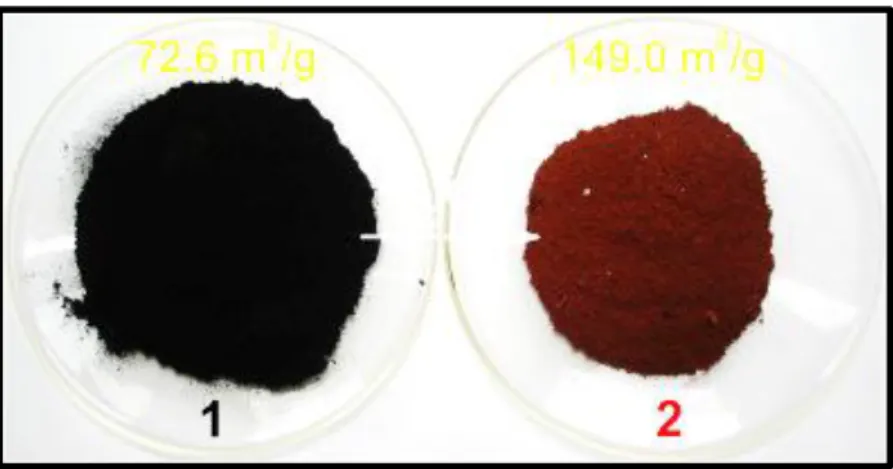 Figure 5: Photographie des nanoparticules d’oxyde de fer : Fe 3 O 4  (A) et  γ-Fe 2 O 3  (B) ( Ianos