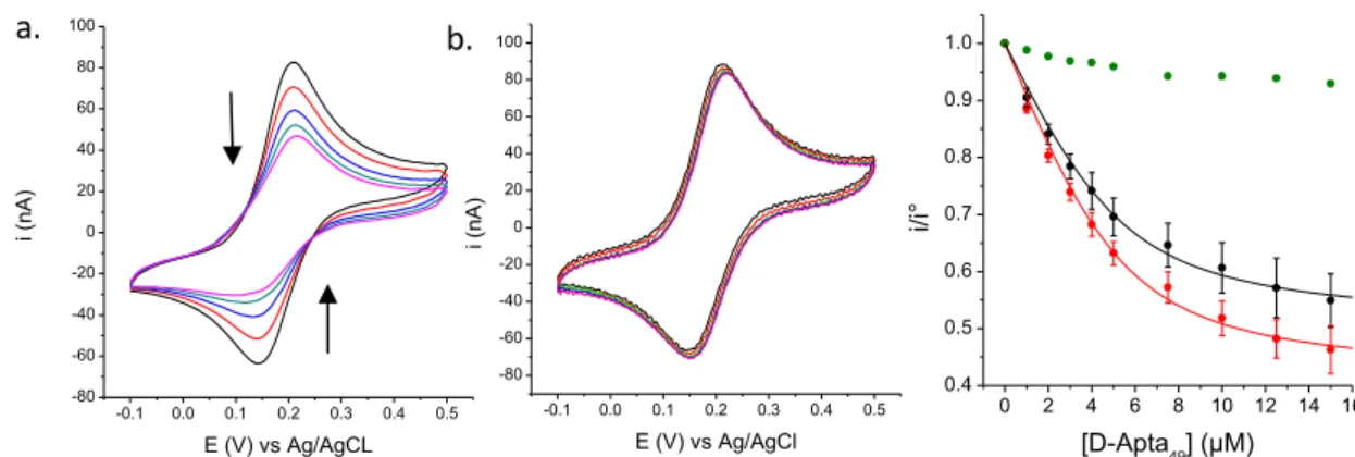 Fig 50 : a.Voltammogrammes d’une solution de L- Tym-Fc 5 µM, [D-Apta 49 ] = 0, 2,  5 ,  10 ,  20  µM, v = 50 mV.s -1 , température ambiante