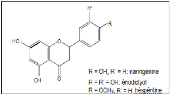 Figure 9: Structures chimiques de flavonols (Crozier, 2003). 