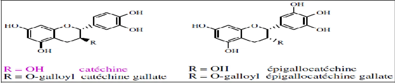 Figure 11. Structures chimiques de quelques anthocyanidines (Collin et Crouzet, 2011)