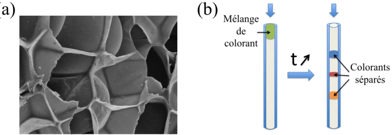 Figure 1.1: Exemples de problématiques liées au transport en milieu confiné. a) Vu au mi- mi-croscope électronique à balayage d’une matrice de filtre céramique