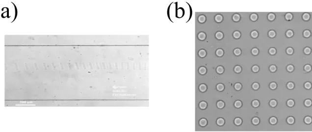Figure 3.10: Exemples d’expériences réalisées au laboratoire. a) Bâtonnet de section 25 × 100µm (hauteur 20 µm) fabriqués à une cadence de 2Hz