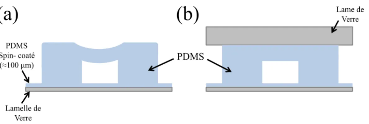 Figure 3.11: Vue en coupe du canal microfluidique utilisé. Le canal nécessite d’avoir toute ces parois en PDMS pour inhiber la réaction de polymérisation