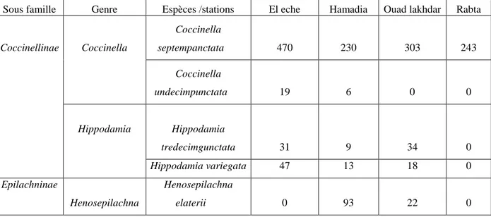 Tableau  10 :  Liste  systématique  des  espèces  recensées  dans  la  région  de  BBA  et  leurs 