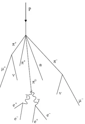 Fig. 3.20  Désintégration d'un hadron incident en une cascade de particules secondaires