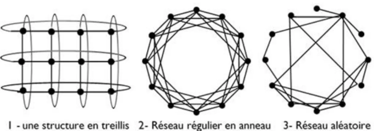 Figure 3.2. Les trois structures du réseau choisies 