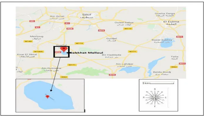 Figure 02. Situation géographique de sebkhet Melloûl (wilaya de Sétif), (Google map) 