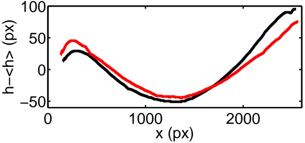 Figure 3.3  F ront de ssure se propageant dans une interface PDMS-V erre homo-