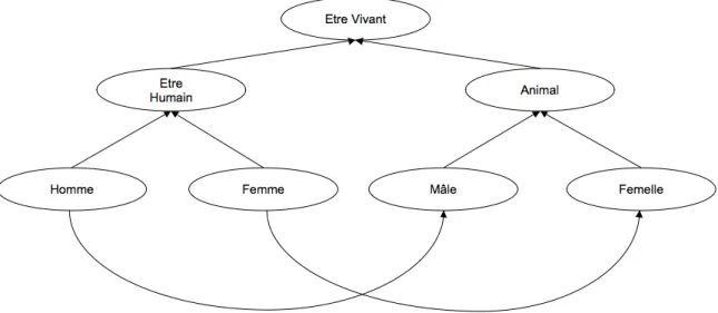 Figure 2.14 – Exemple de relation de subsomption
