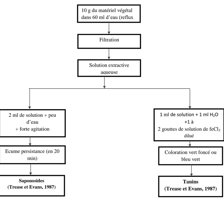 Figure 4: Schéma récapitulatif le protocole d’epuisement du matériel végétal avec de l’eau  