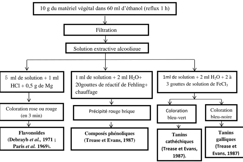Figure 5 : Schéma récapitulatif  le protocole d’epuisement du matériel végétal avec l’éthanol