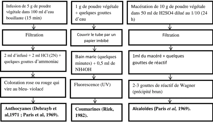 Figure  6:  Schéma  récapitulatif    le  protocole  des  Tests  phytochimiques  pour    autres 