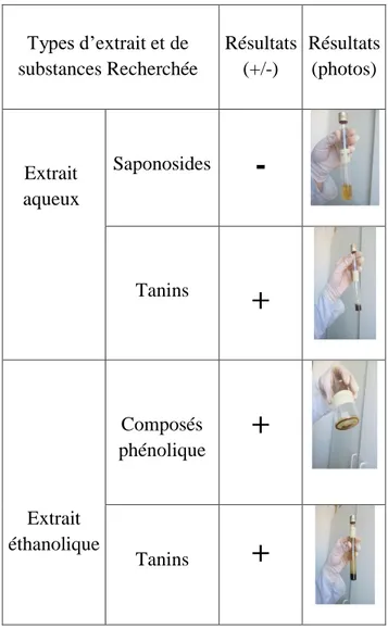 Tableau  III  :  Résultats  des  réactions  de  caractérisation  des  différents  groupes  chimiques 