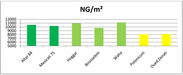Figure 5 : Histogramme de la moyenne du nombre de grains/m² 