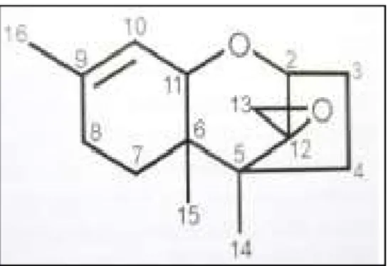 Figure 3 : Structure générale des trichothécènes (Heit, 2015). 
