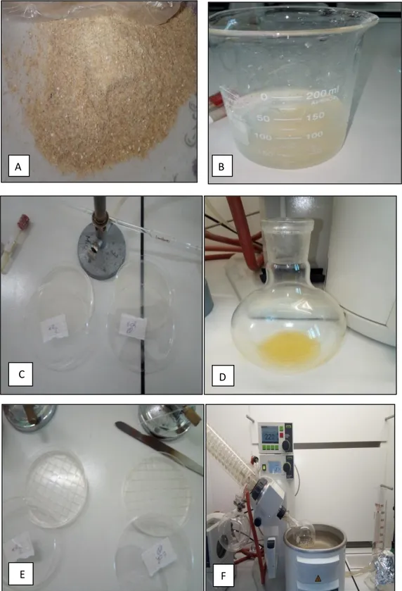 Figure 8 : Extraction des mycotoxines A) broyage de blé, B) le solvant+le blé                             C) concentration de l’extrait, D) étalement de l’extrait,E) découpage de milieu F, F) 