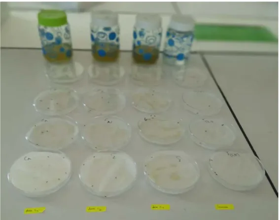 Figure 15. Dispositif expérimental (Originale, 2019). 