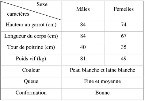 Tableau II: les caractères chez le mâle et la femelle de la race Ouled Djellal  (Benyoucef et 