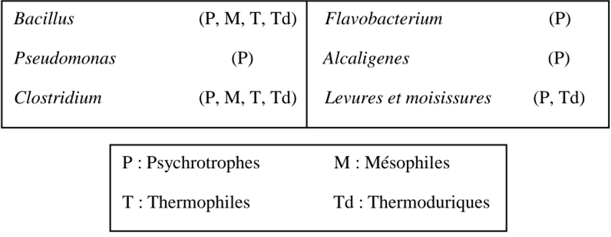 Tableau VII: les principaux microorganismes protéolytiques associés au lait et les produits 