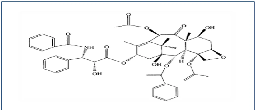 Figure 3: Structure chimique de paclitaxel (Strobel et Daisy, 2003) . 