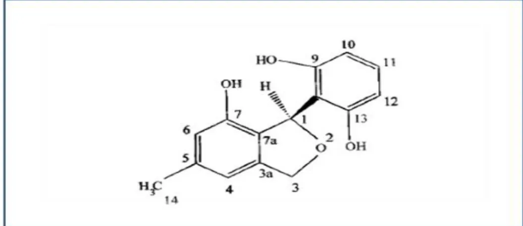 Figure  5:  Pestacin  un  antioxydant  produit  par  l’endophyte  P.microsporas  isolé  à  partir  T
