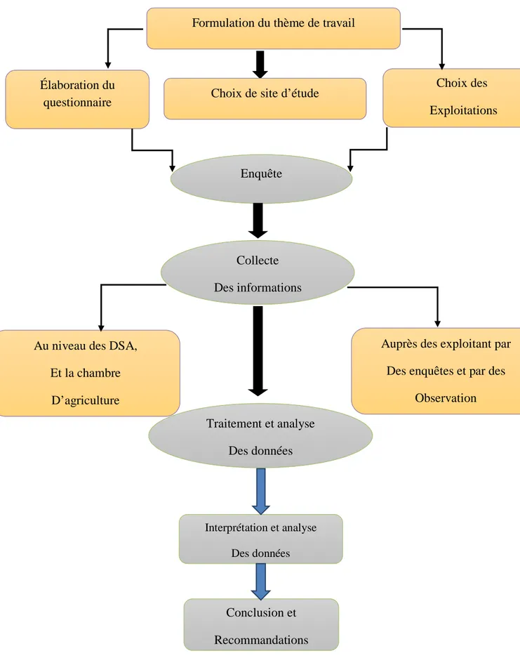 Figure 07 : Schéma de la démarche la méthodologie utilisée. 