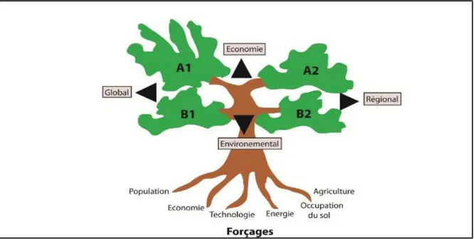 Figure 2 : Différents scénarios du SRES (d’après GIEC, 2001) 