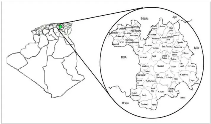 Figure 3 : Localisation de la région de Sétif en Algérie. (Source : DSA de Sétif, 2011)