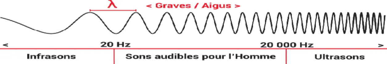 Figure 02 : Onde sonore selon la longueur d’onde et la fréquence (Futura Science, 2019) 