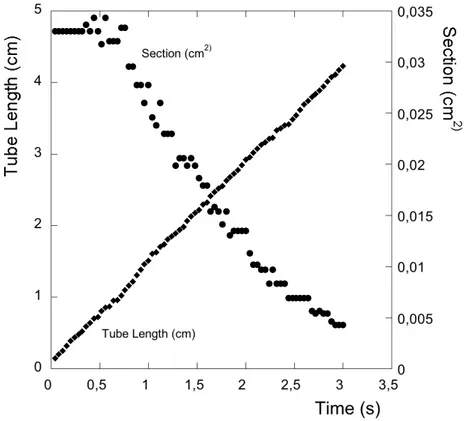 Fig. 2.13 – Longueur et section au niveau de la fracture d’un tube en croissance. c = 65g/L, Q inj = 8mL/min