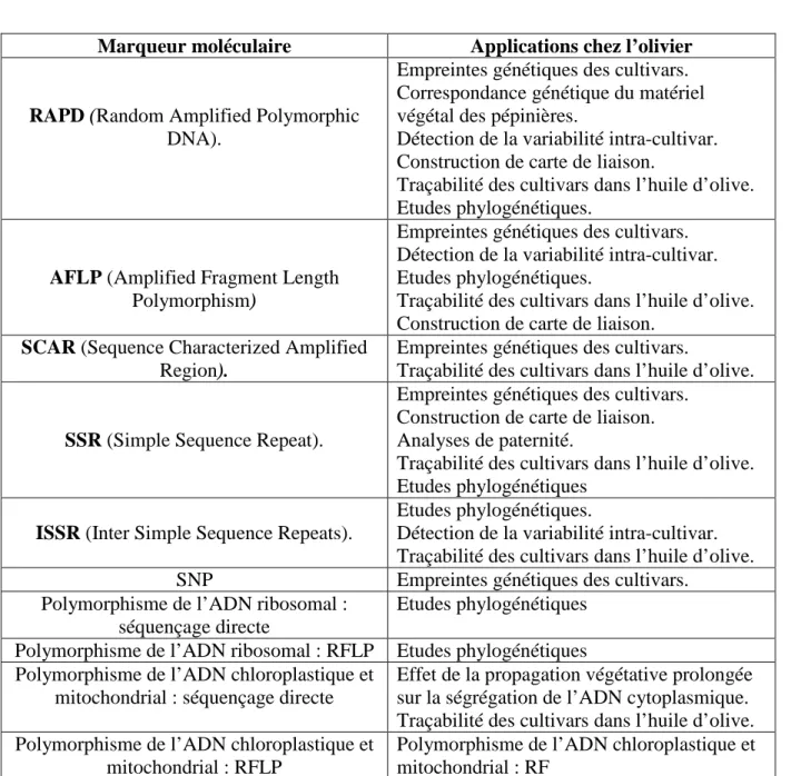 Tableau 04  :  Applications des marqueurs moléculaires basées sur l’ADN dans les études de  l’olivier  (Bracci et al., 2011) 