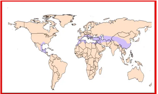 Figure 03: Distribution géographique de genre pistacia  