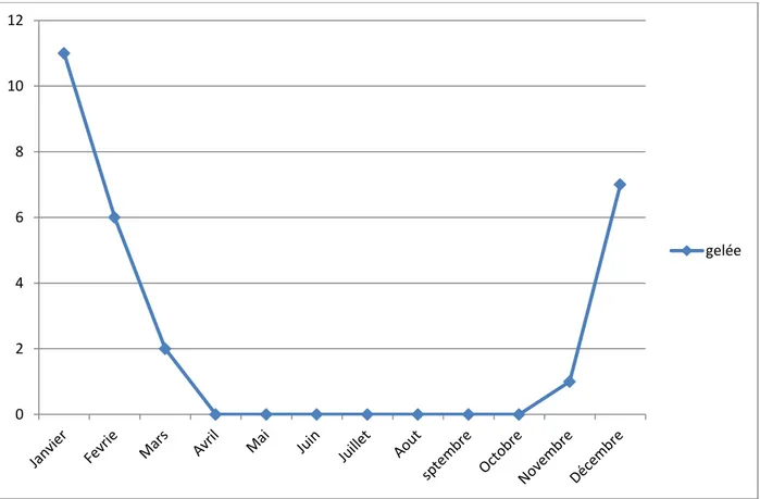 Figure 11 : Moyenne mensuelles de nombre des jours de gelée dans la région de Ras El Oued 