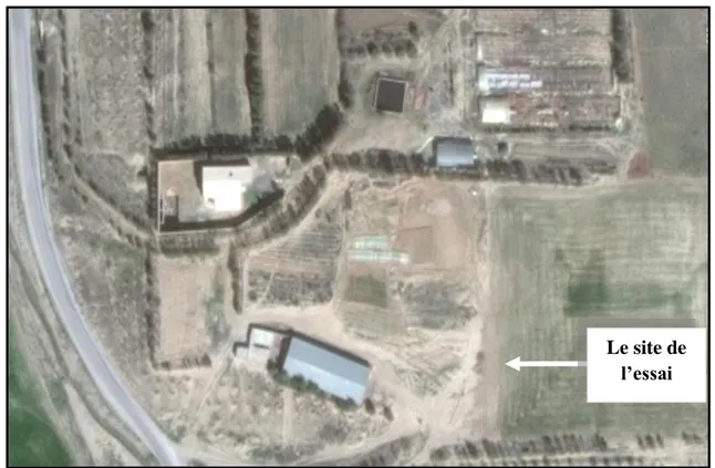 Fig. 03: Le site de l’essai (Google Earth, 2017). II.1.2. Le sol 