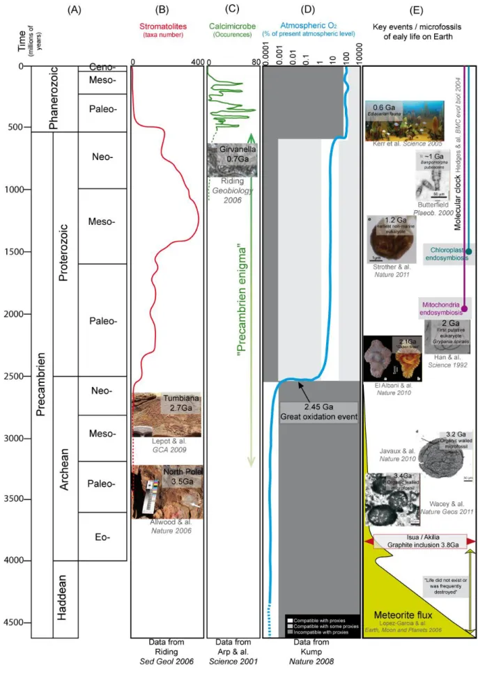 Figure 2 :  Eléments de l’évolution de la bio-géosphère à travers les temps géologiques