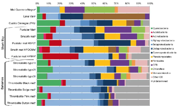 Figure  4 :  Comparaison  de  la  diversité  des  bactéries  dans  différents  stromatolites  à  l’échelle  des  phyla :  (b) 