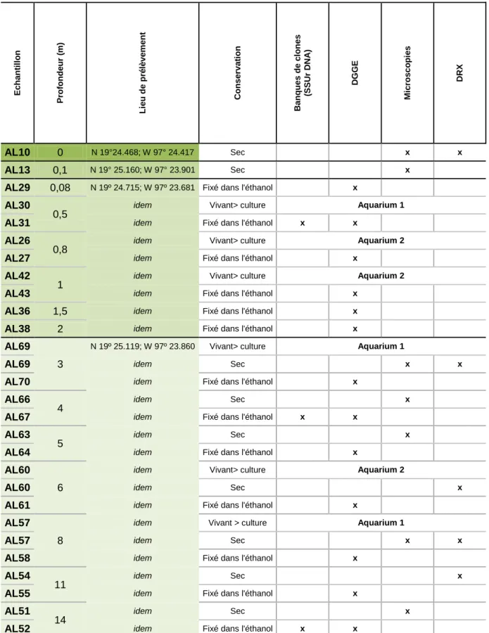 Table 3 : N om, profondeur d’échantillonnage, lieu de prélèvement et mode de stockage des fragments 