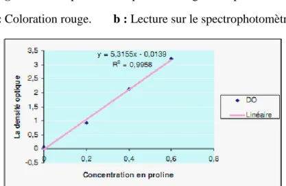 Figure 17: Courbe étalon du dosage de la proline (Mouellef, 2010).  Calculs : 