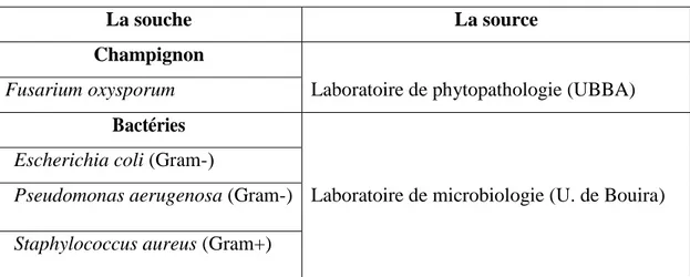 Tableau I : Sources des souches microbiennes étudiées  