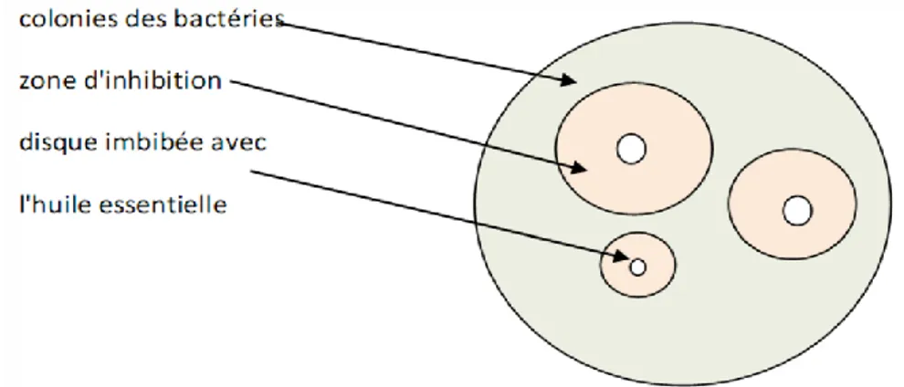 Figure 6: Méthode de diffusion sur disque 