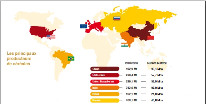 Figure 1.Principaux pays producteurs de céréales dans le monde                                                   (USDA, campagne 2014/2015 In : Gleizes, 2016)