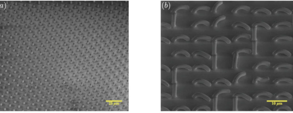 Fig. II.10 : (a) Observation au MEB d’une zone correctement répliquée d’une surface dure (E = 3 MPa)