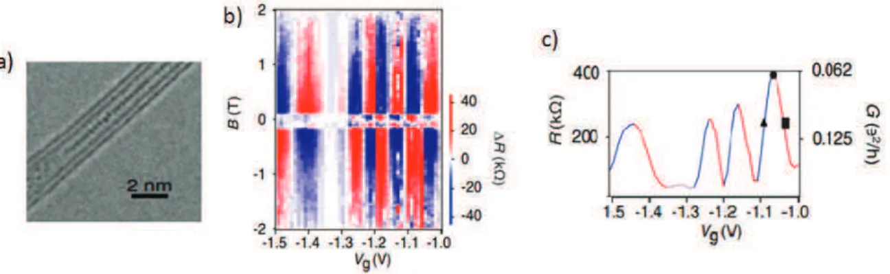 Figure 2.16: (a) High resolution TEM image of a portion of a double-wall CNT filled with elongated FeO particles; (b) Hysteresis plot (difference between trace and retrace) as a function of V G 