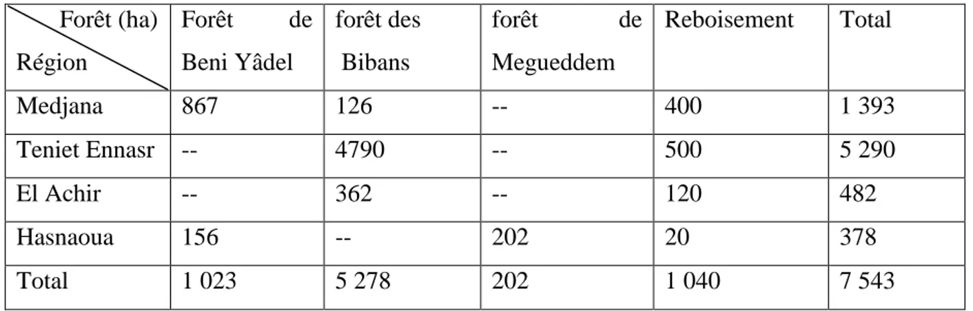 Tableau VI : Répartition du patrimoine forestier dans la région de Medjana          Forêt (ha)  Région  Forêt  de Beni Yâdel  forêt des  Bibans  forêt  deMegueddem  Reboisement  Total  Medjana  867  126  --  400  1 393  Teniet Ennasr  --  4790  --  500  5 290  El Achir  --  362  --  120  482  Hasnaoua  156  --  202  20  378  Total  1 023  5 278  202  1 040  7 543 